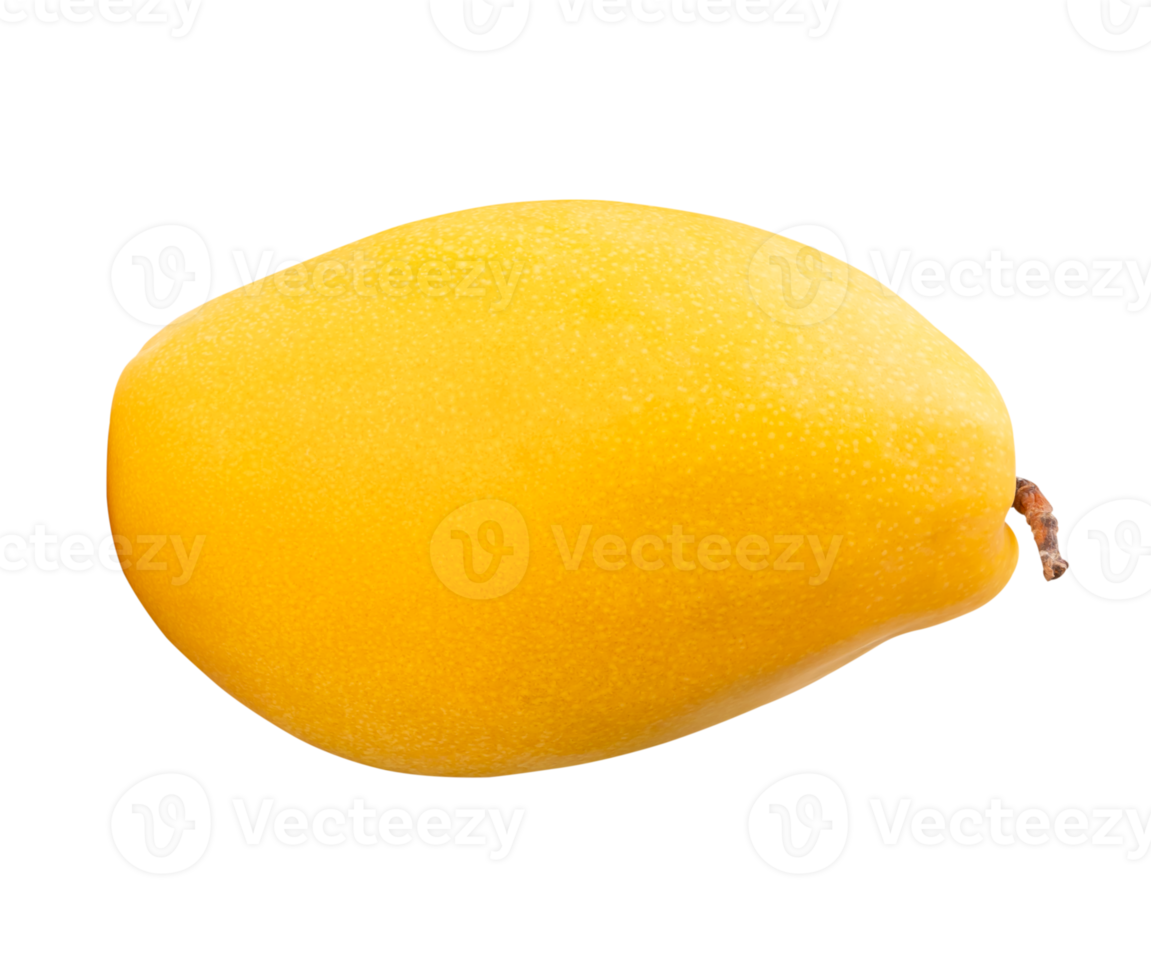 A ripe mango isolated with clipping path in file format png