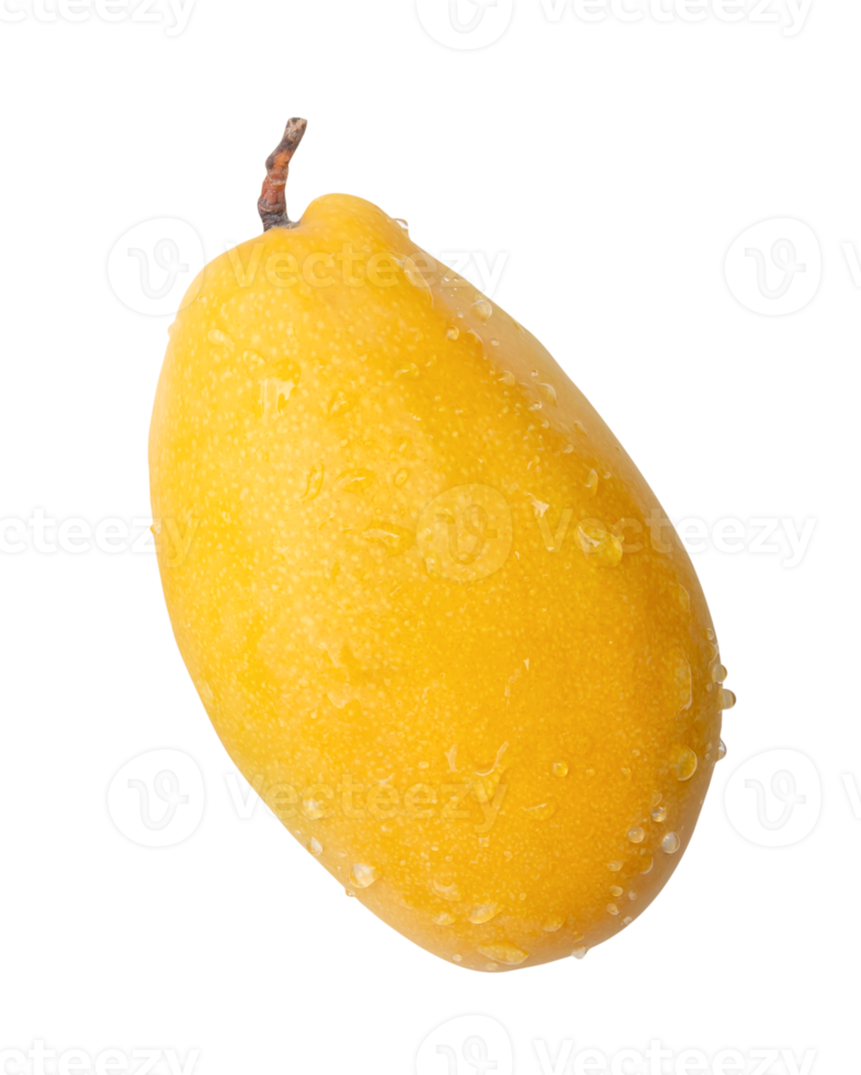 Vertical ripe yellow mango fruit isolated with clipping path in file format png