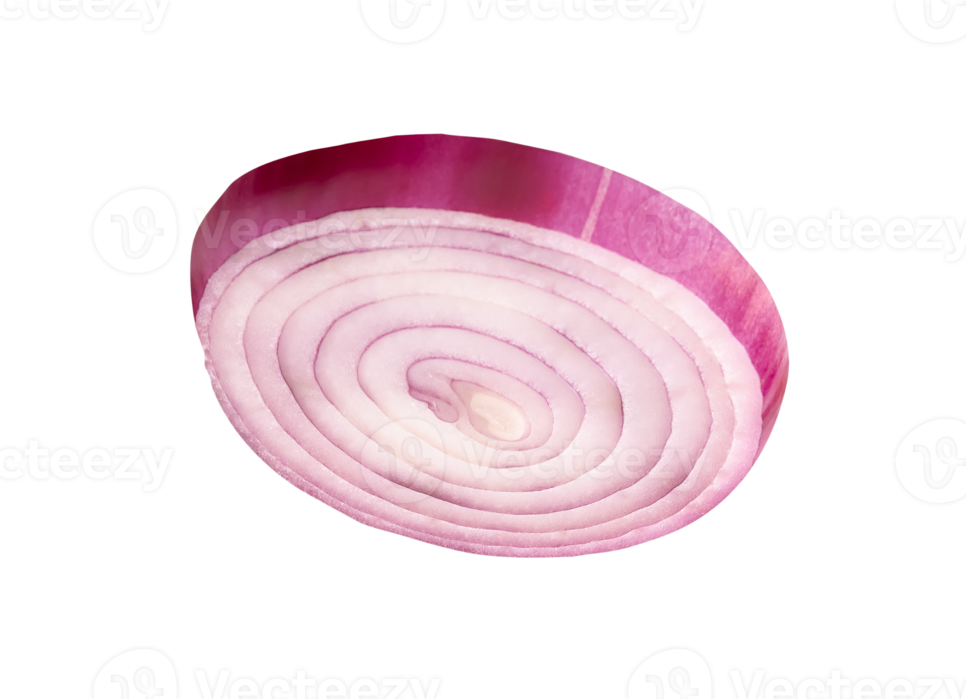 One Spanish onion or red onion slice isolated with clipping path in file format png