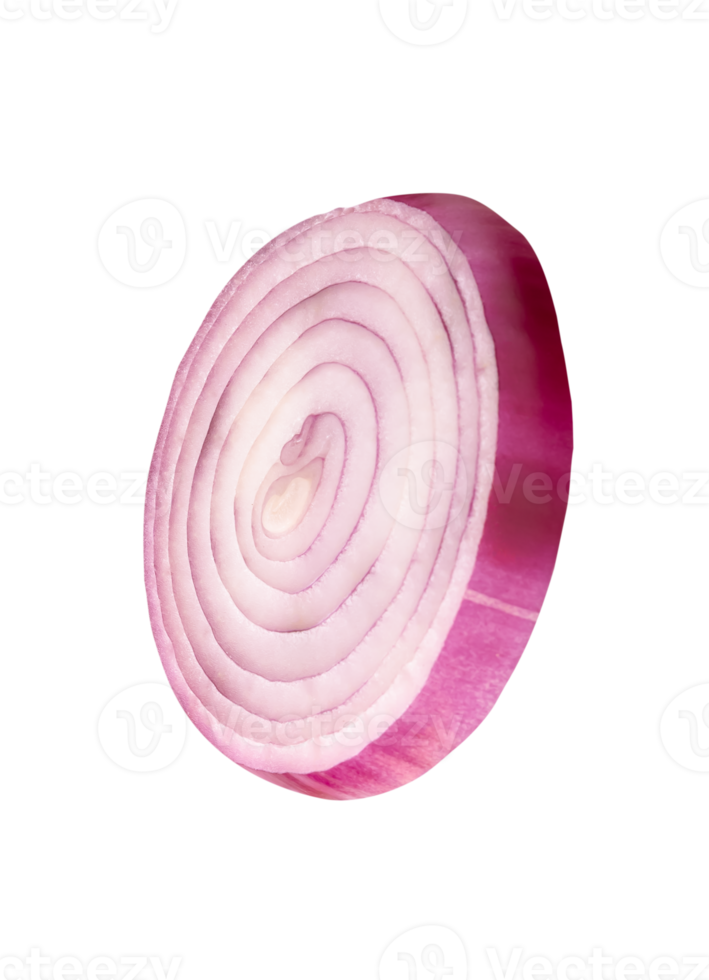 Spanish onion or red onion slice isolated with clipping path in file format png