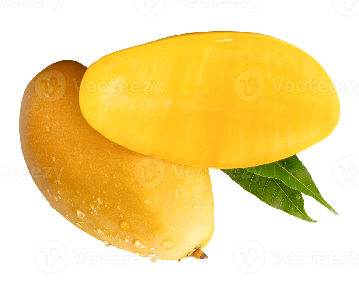 Ripe mango fruit and half with green leaves and water droplets in strange heap isolated with clipping path in file format png