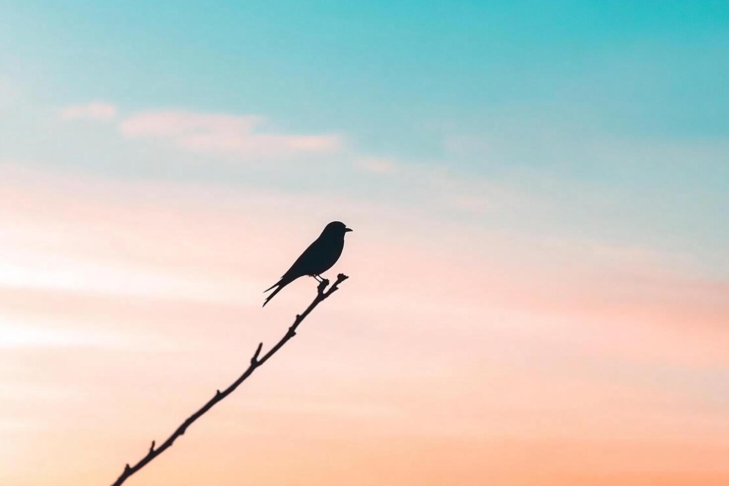 A bird is perched on a branch in front of a sunset photo