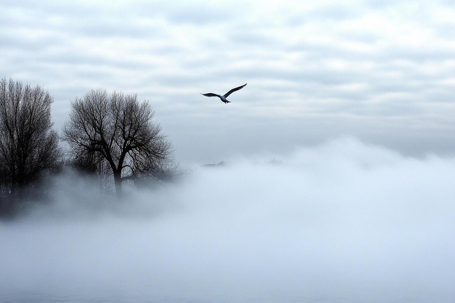 A bird flying over a body of water with trees in the background photo