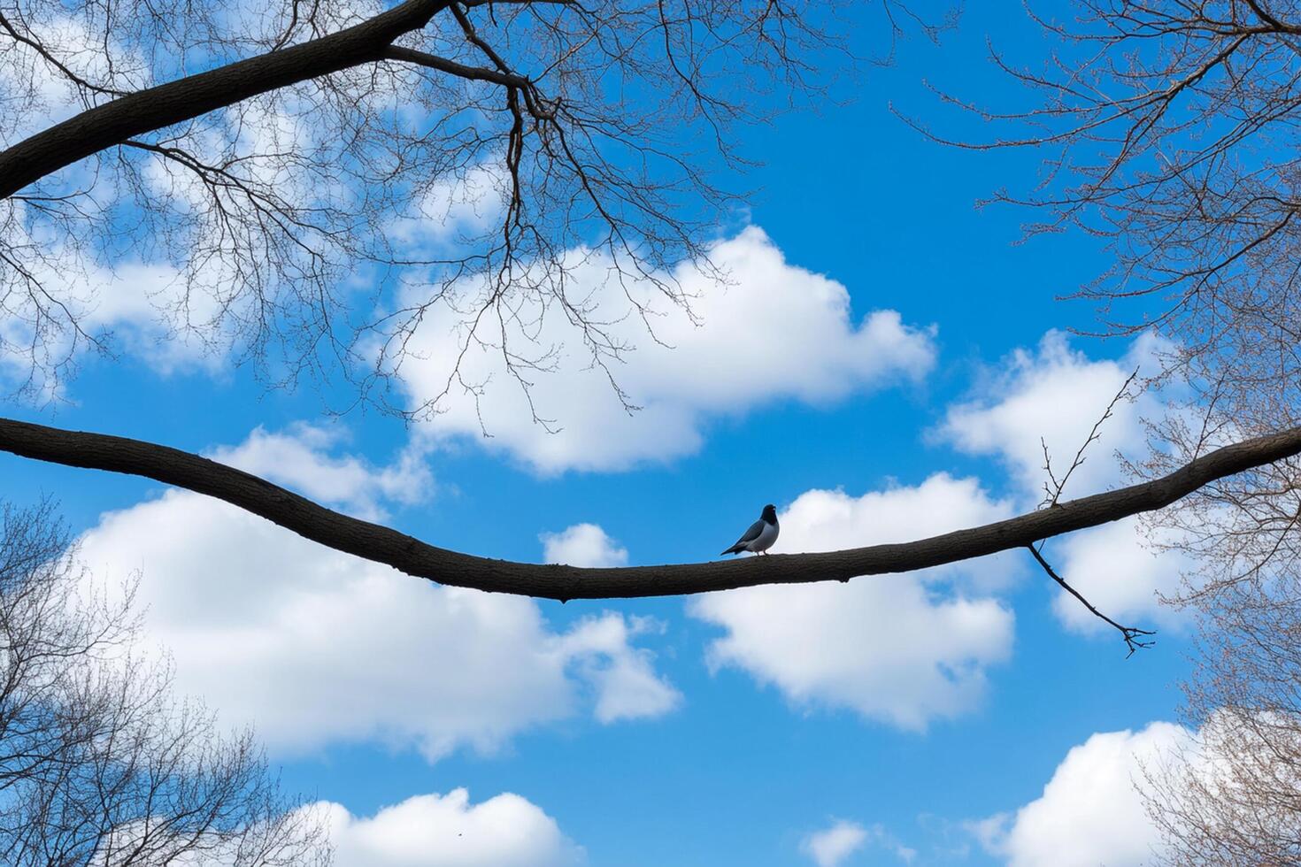 A bird is perched on a branch in the sky photo