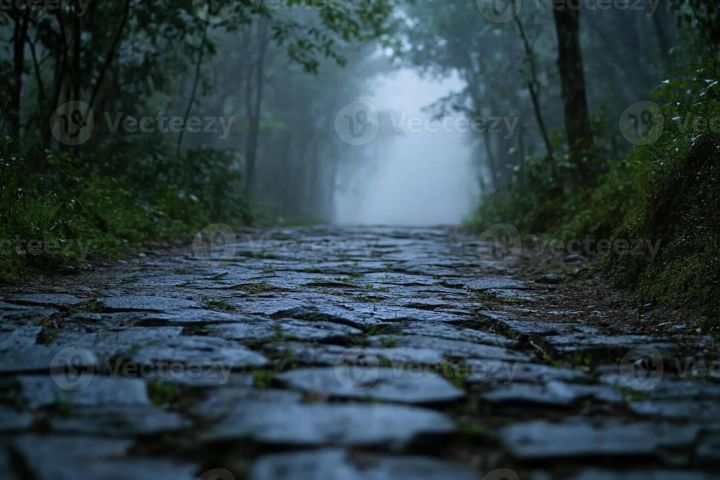 A cobblestone road in the woods with trees and fog photo