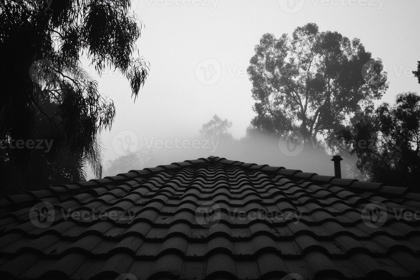 A black and white photo of a roof with trees in the fog