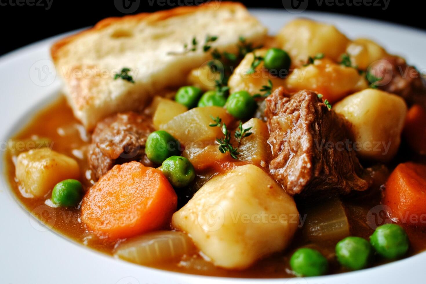 A white plate topped with a stew with potatoes photo