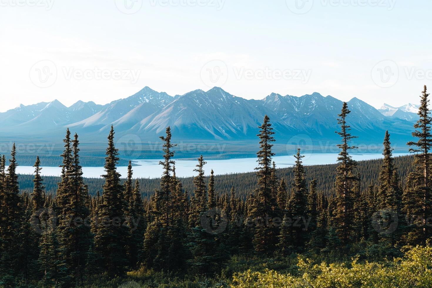 A view of mountains and trees in the alaska wilderness photo