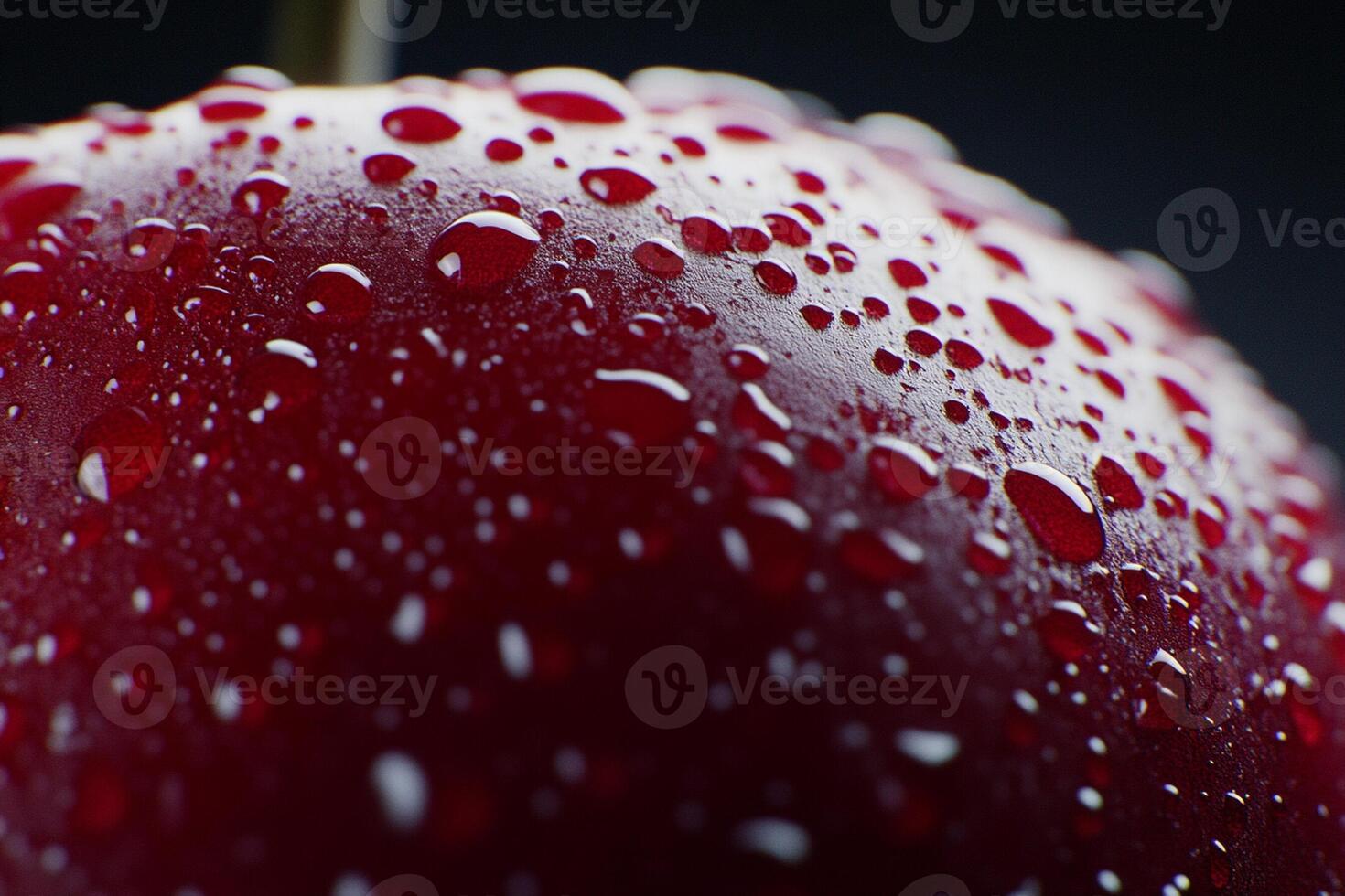 A close up of a red apple with water droplets photo