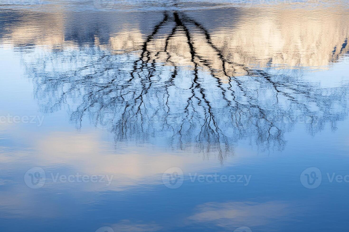 A tree with no leaves reflected in a lake photo