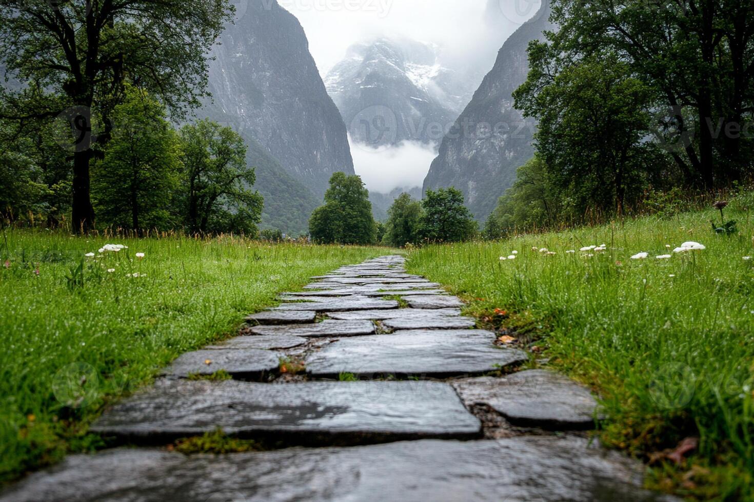 A stone path in the middle of a green field photo