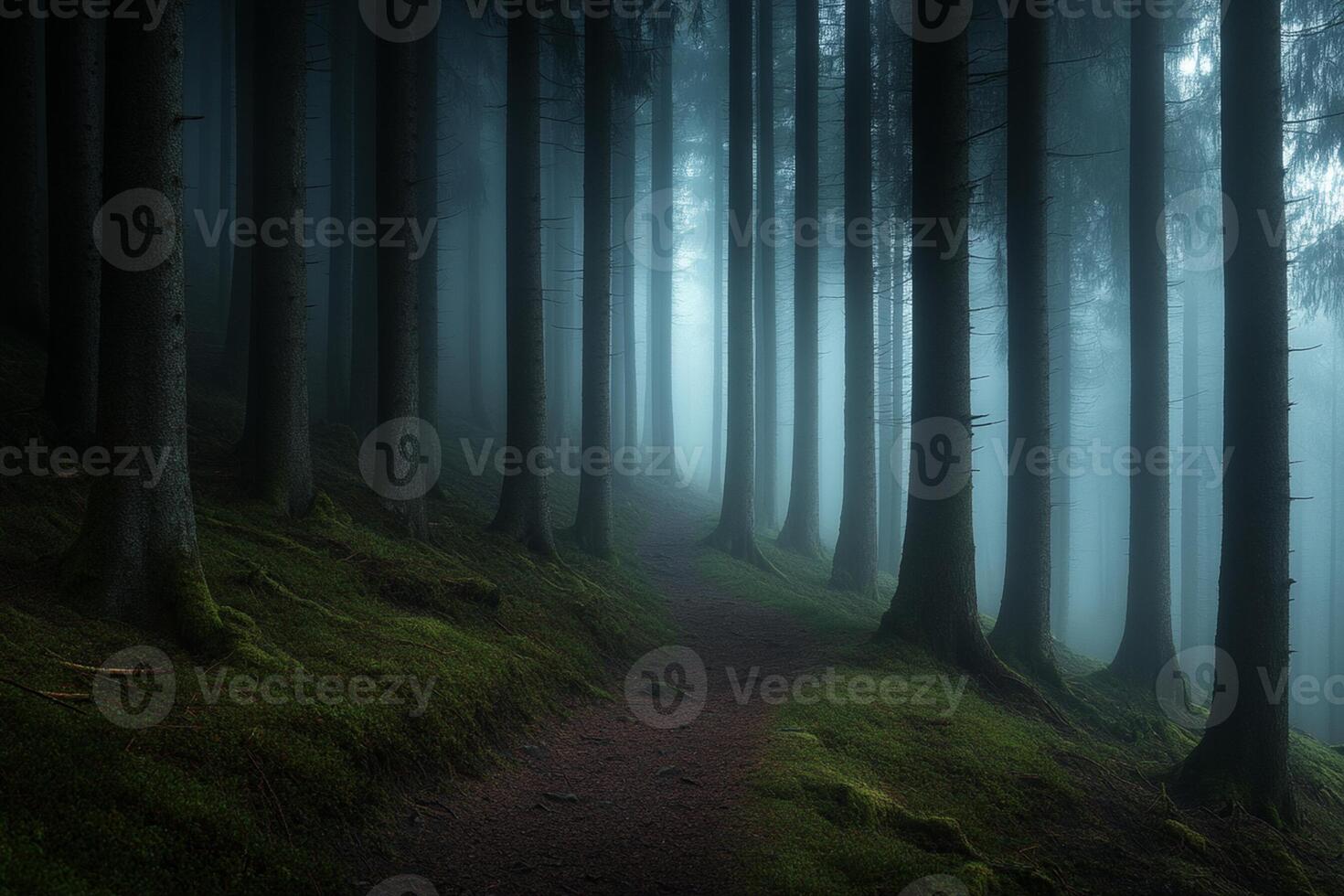 A path in the woods with trees and fog photo