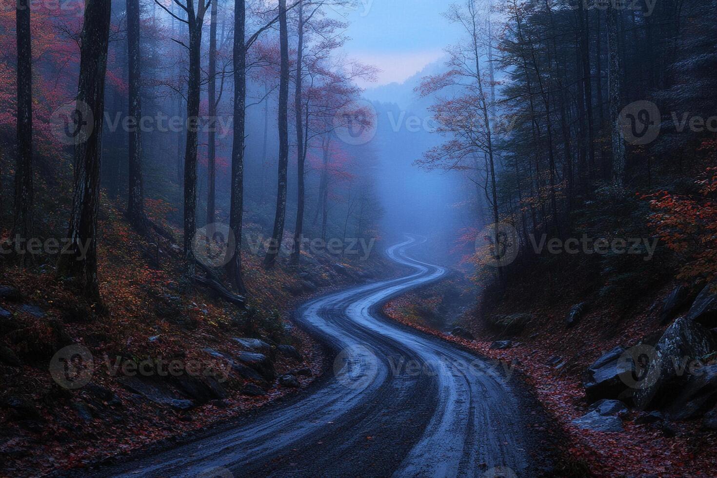 A winding road in the woods with fog photo