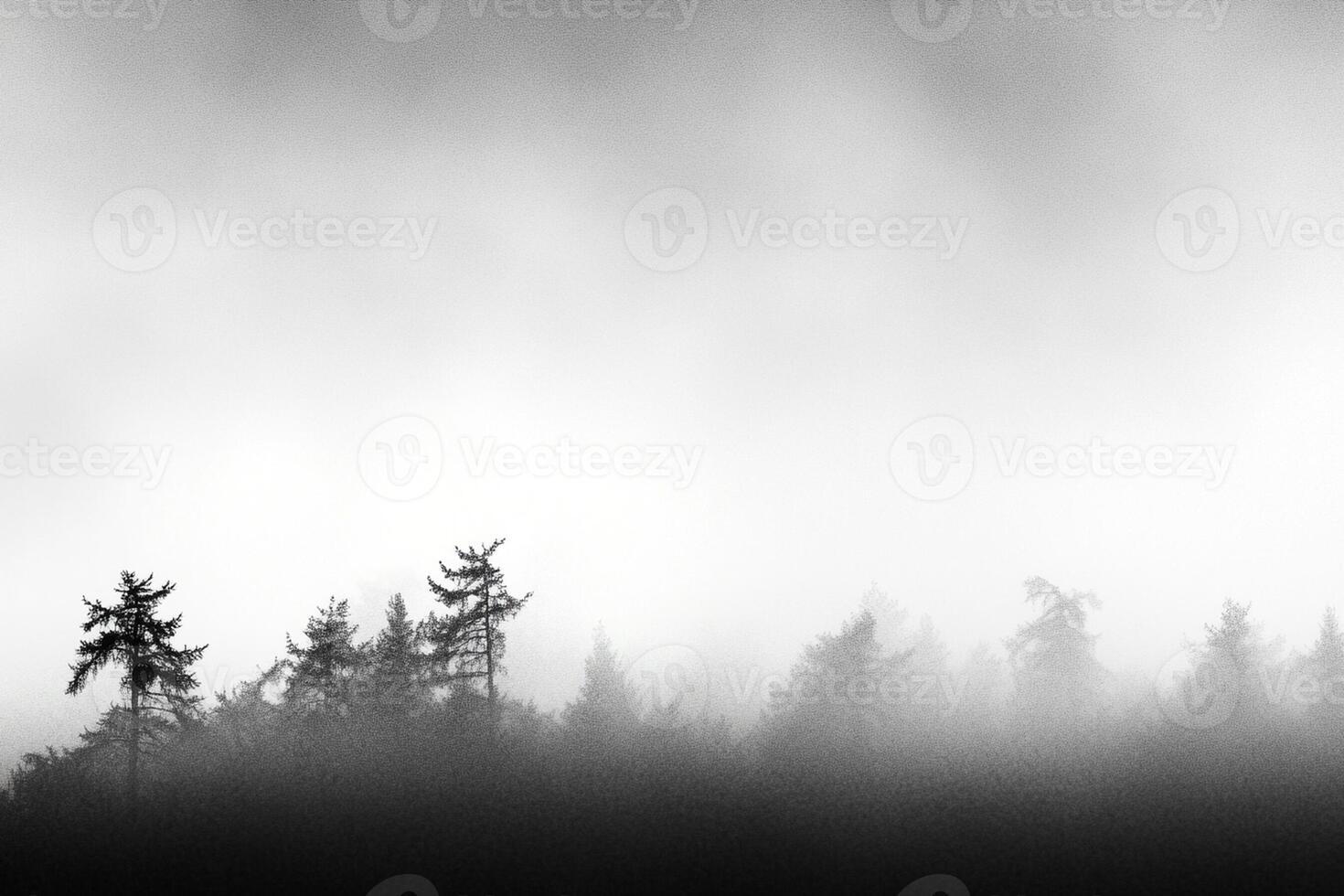 Black and white photo of trees in fog