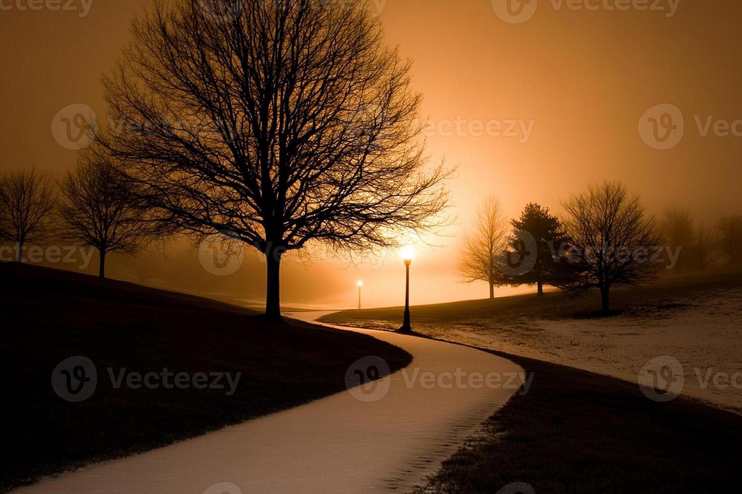 A path leads to a tree in the fog photo