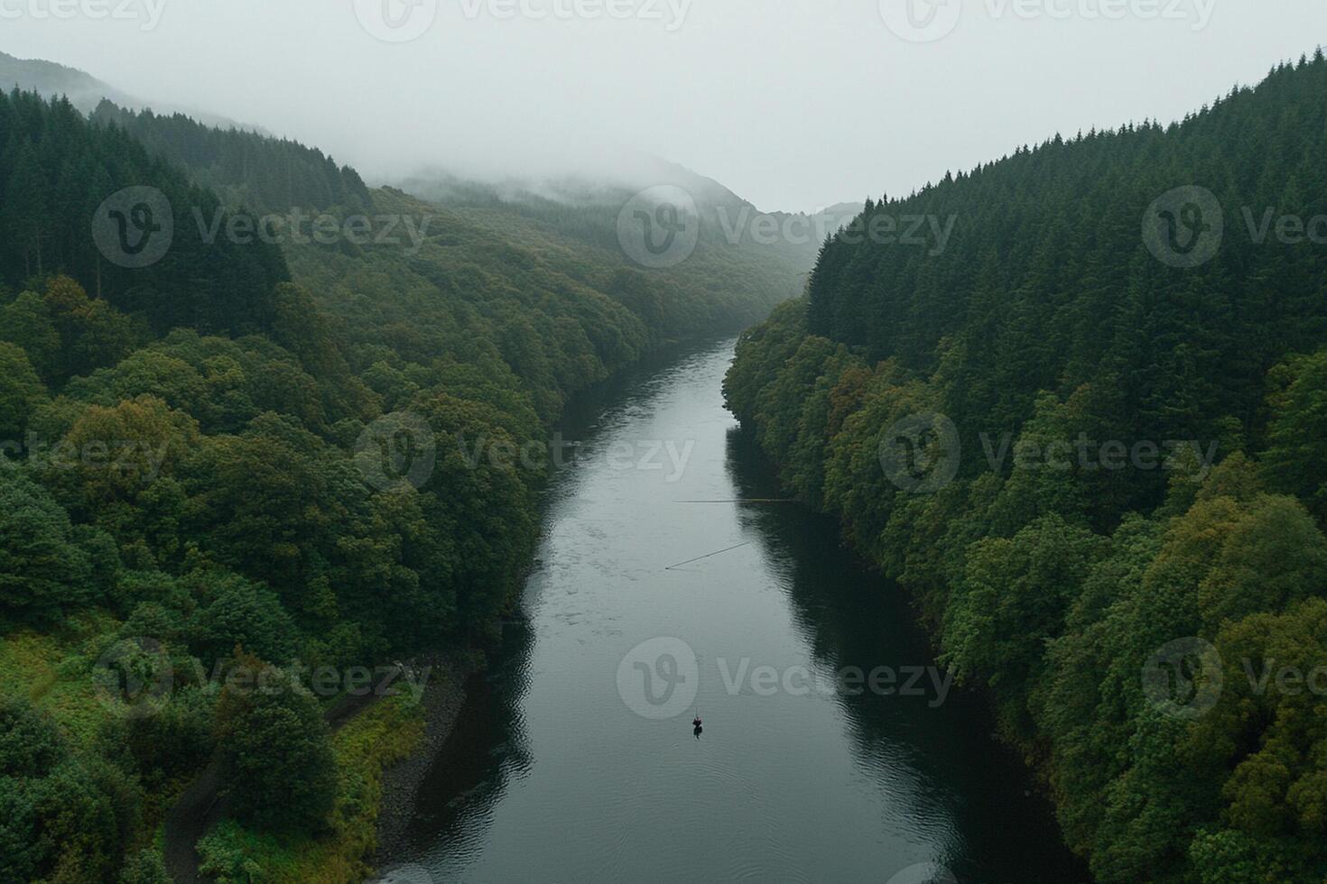 A river in the middle of a forest photo
