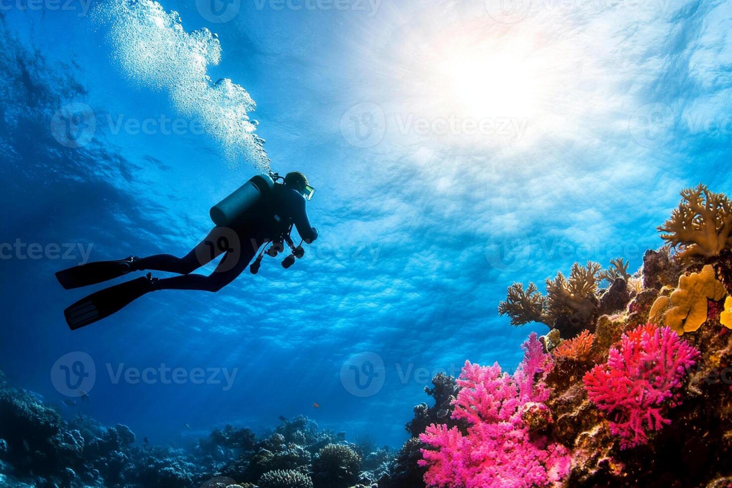 Diver in the ocean with coral reef and sun photo