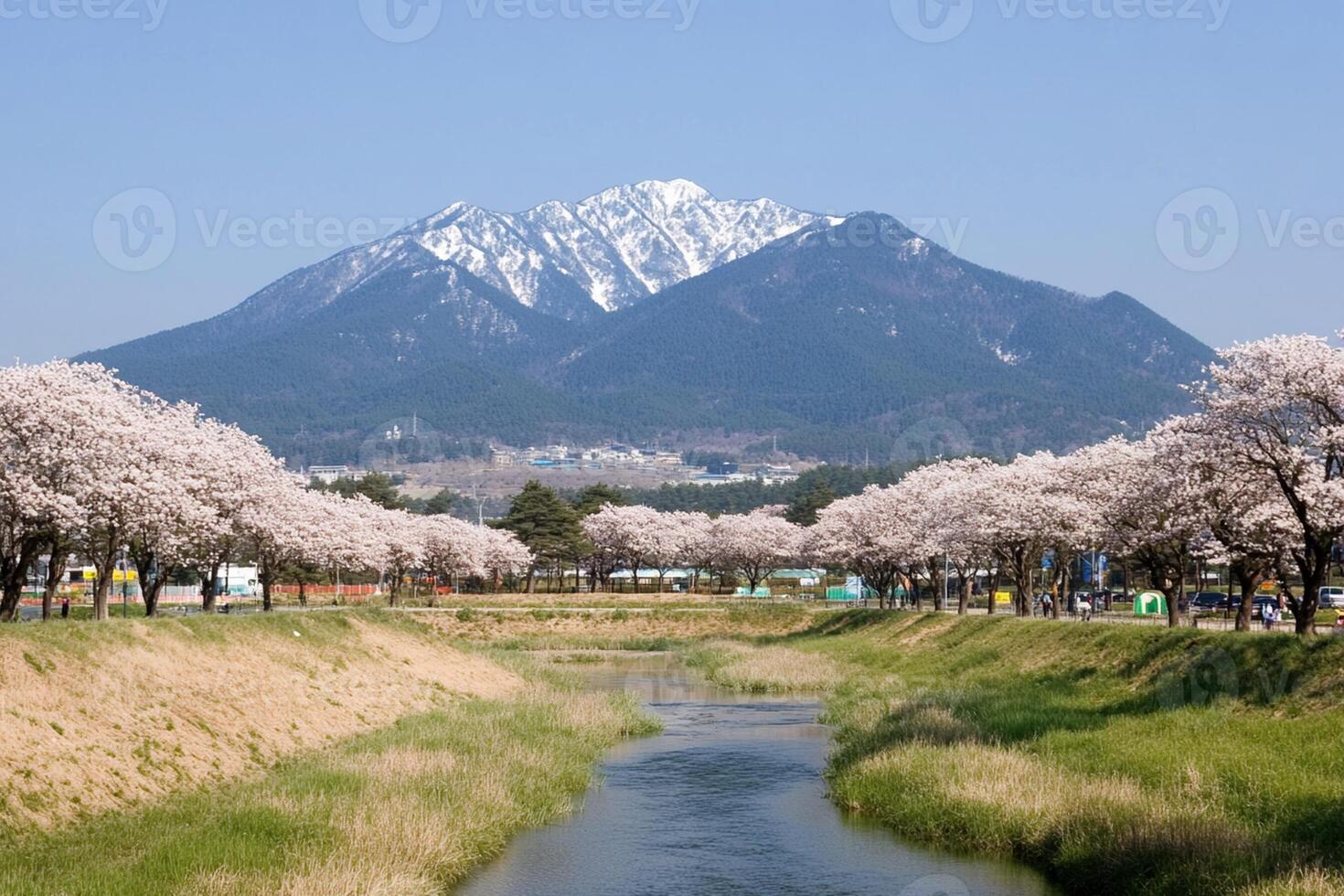 A river with trees and mountains in the background photo