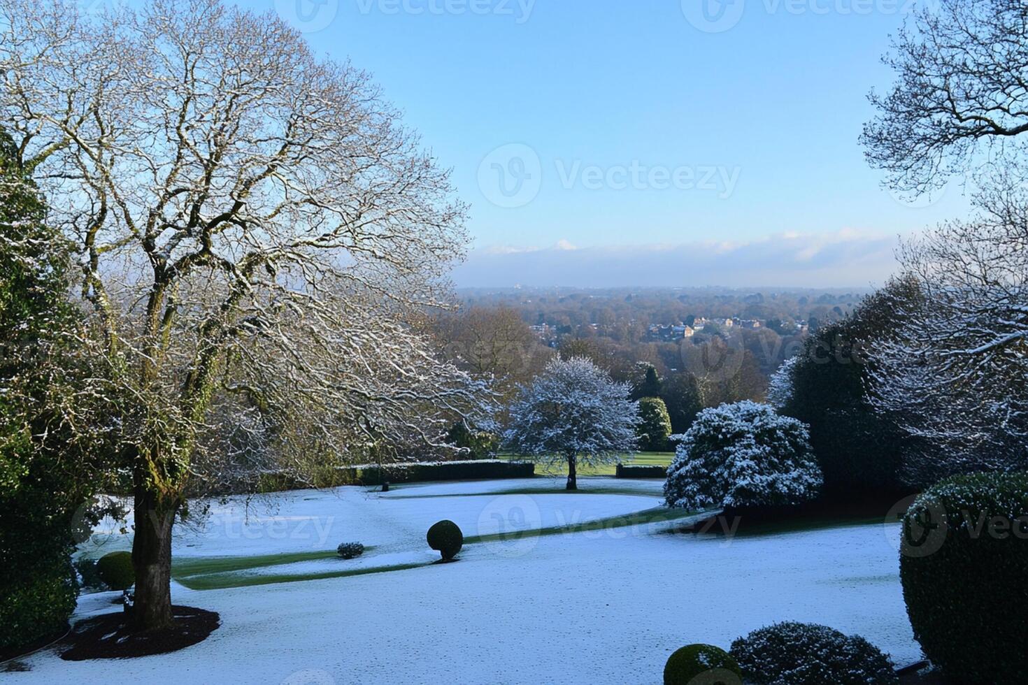 A snowy landscape with trees and a sky photo
