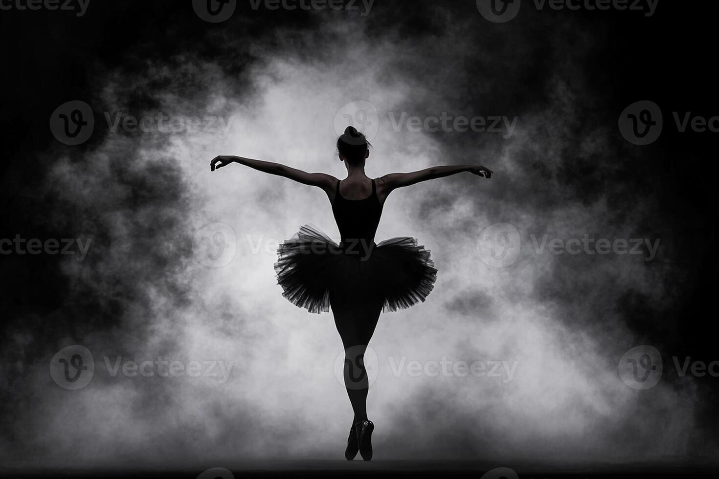 A ballerina in a black tutu and skirt is silhouetted in the smoke photo