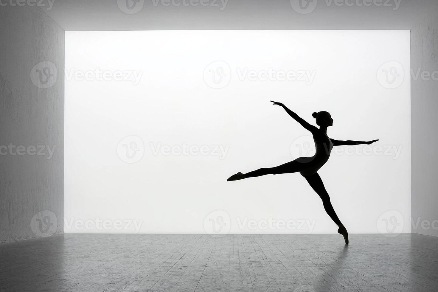A silhouette of a woman in a white room photo