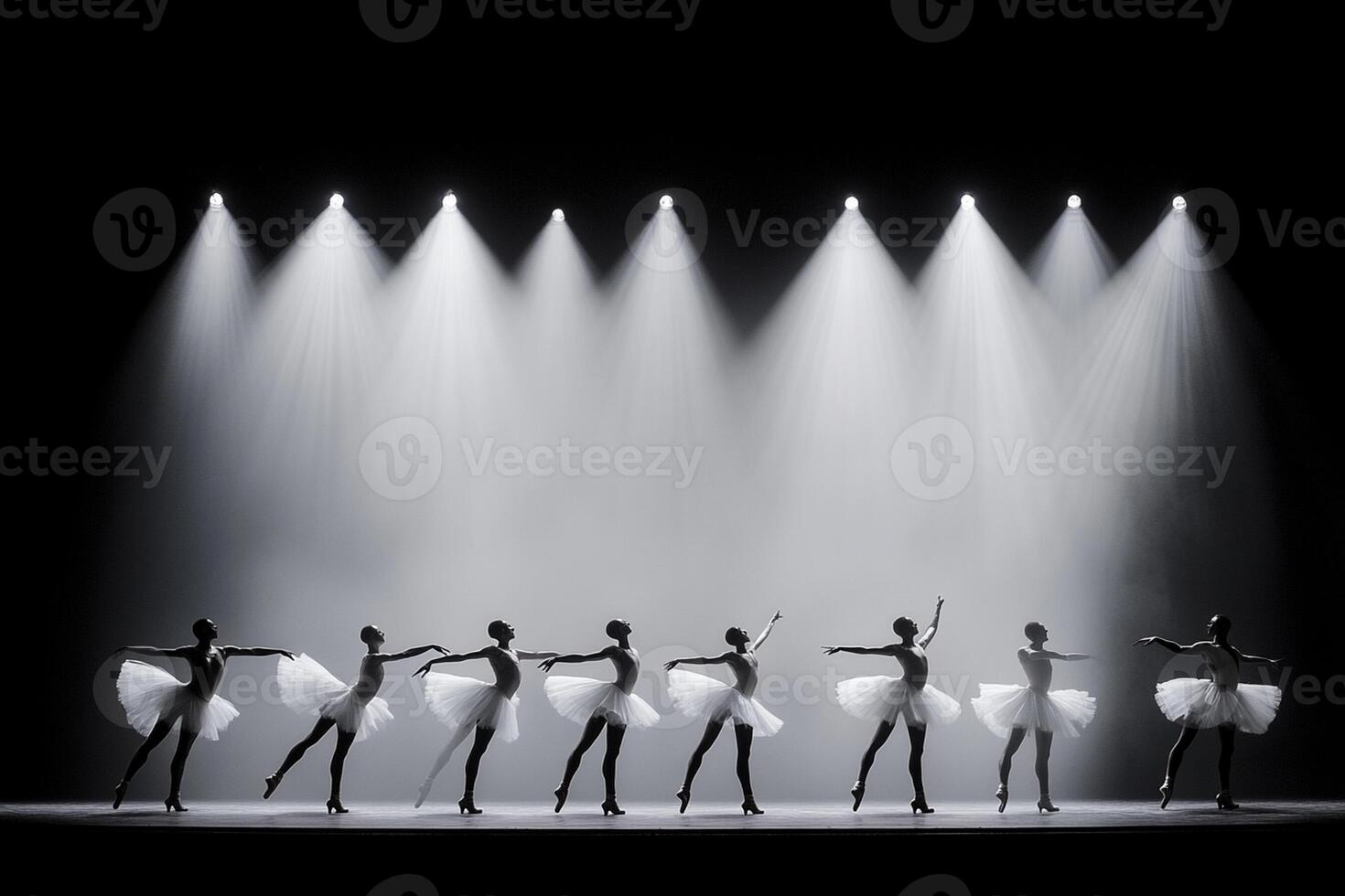 A group of dancers in white tutus photo