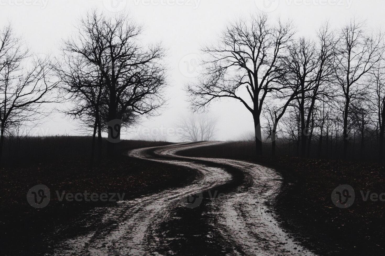 A dirt road in the middle of a field photo