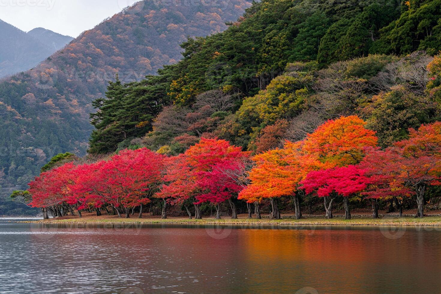 Autumn trees on the shore of a lake photo