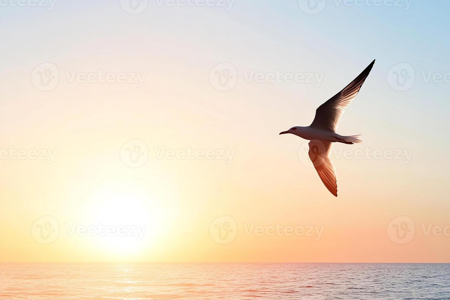 A seagull flying over the ocean at sunset photo