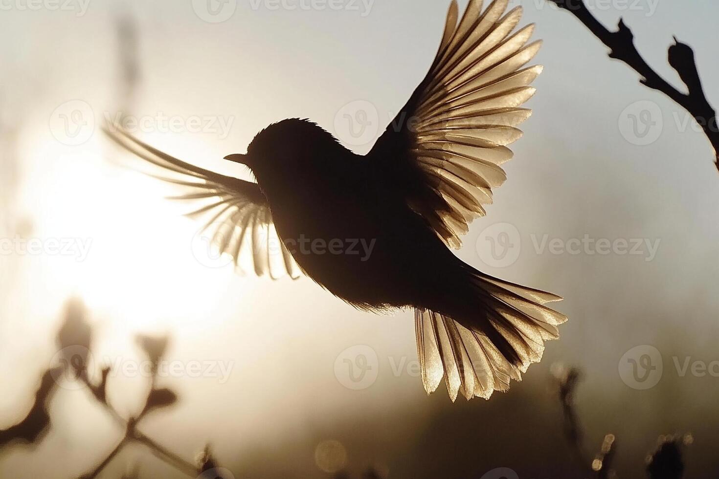 A bird flying in the sun with its wings spread photo