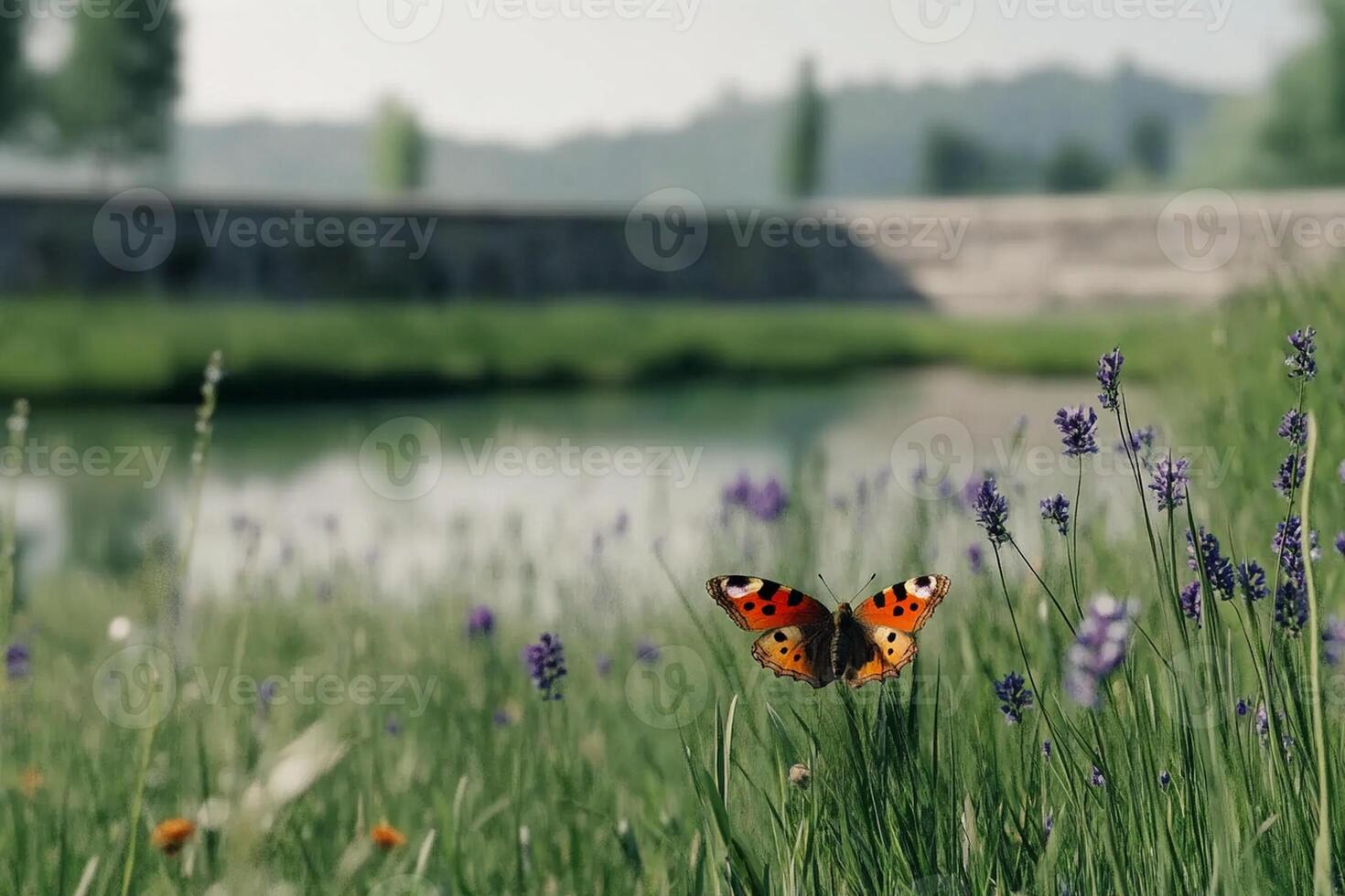 A butterfly is sitting on a grassy field next to a river photo