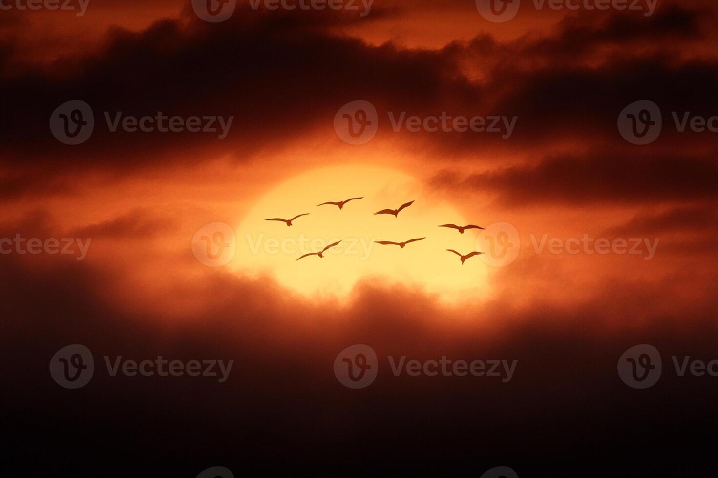 A flock of birds flying over the sun photo