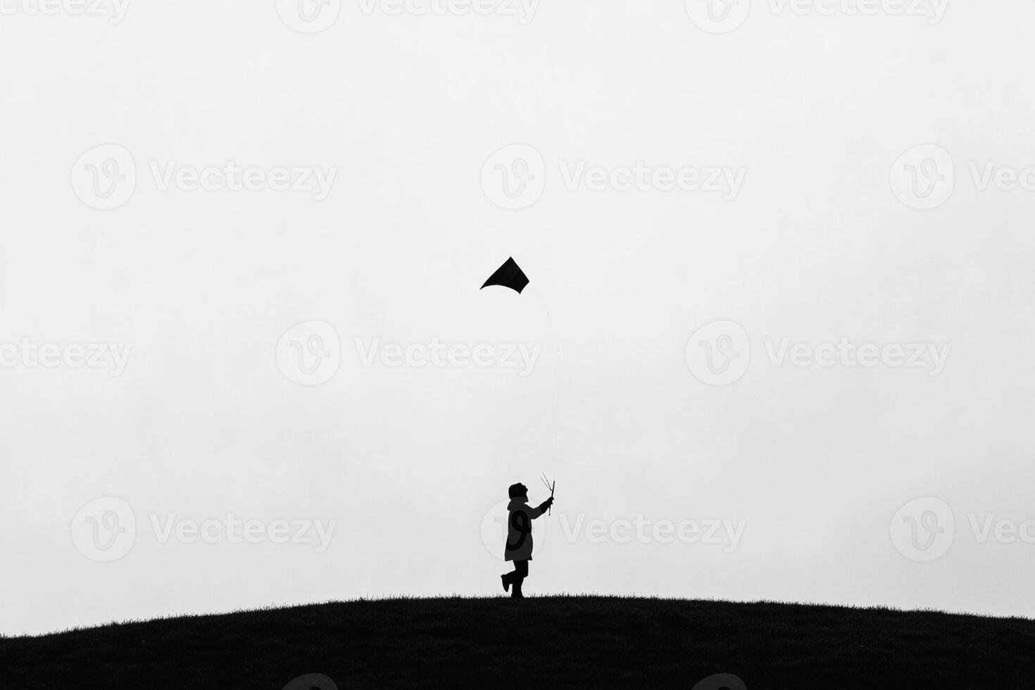 A person standing on a hill with a kite in the sky photo
