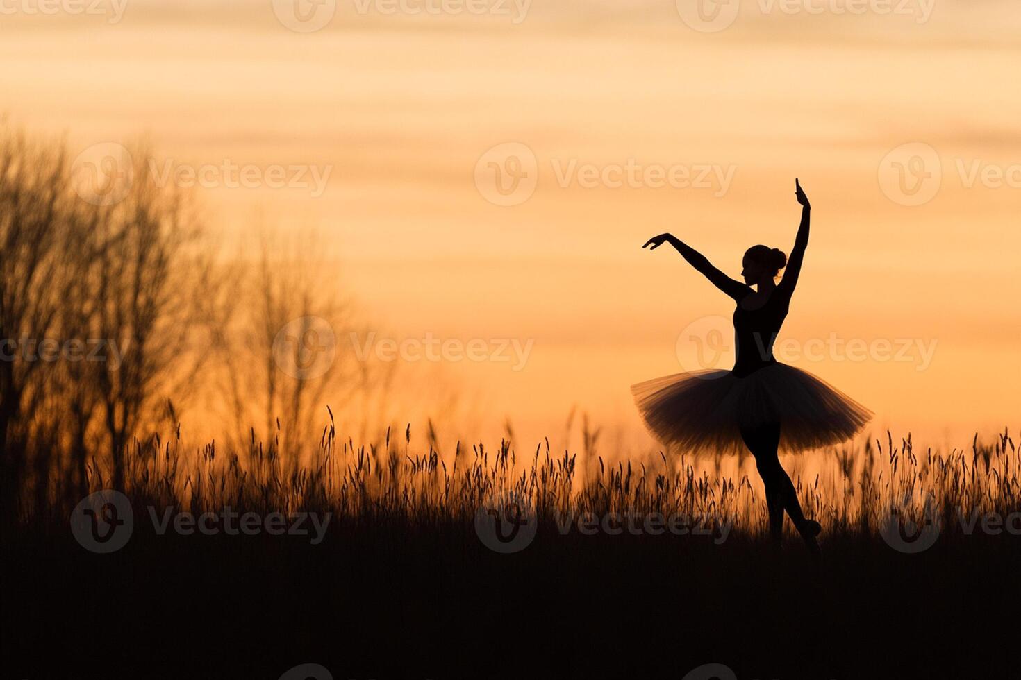 A ballerina in silhouette at sunset photo