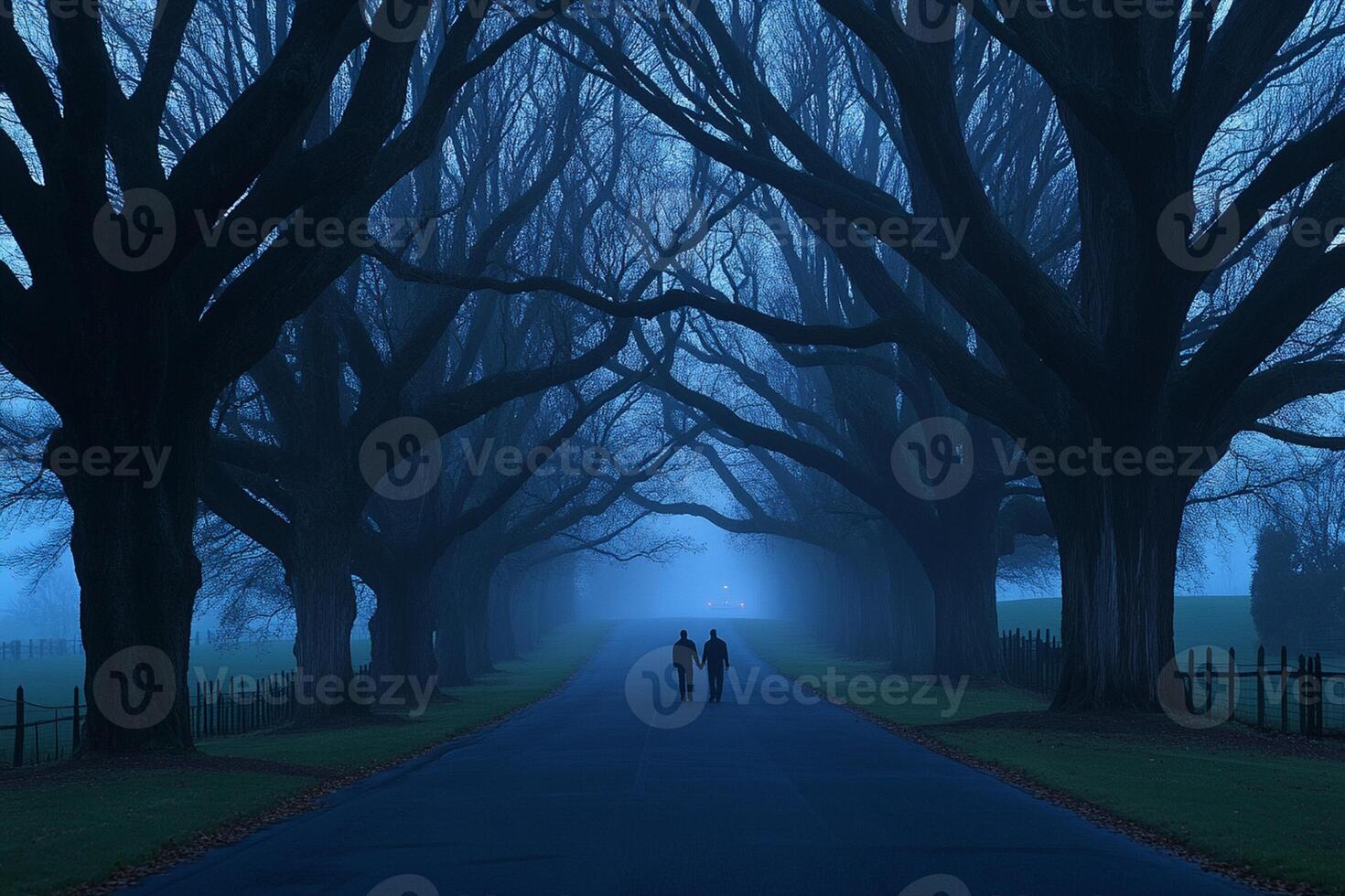 A couple walking down a road in the fog photo