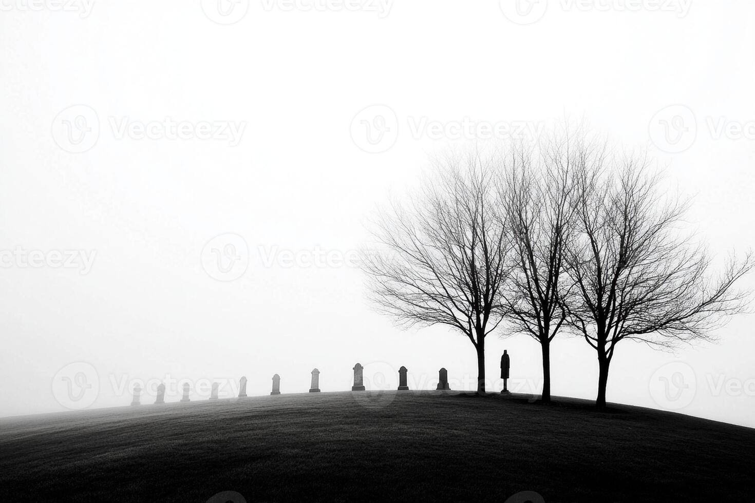 A black and white photo of trees on a hill