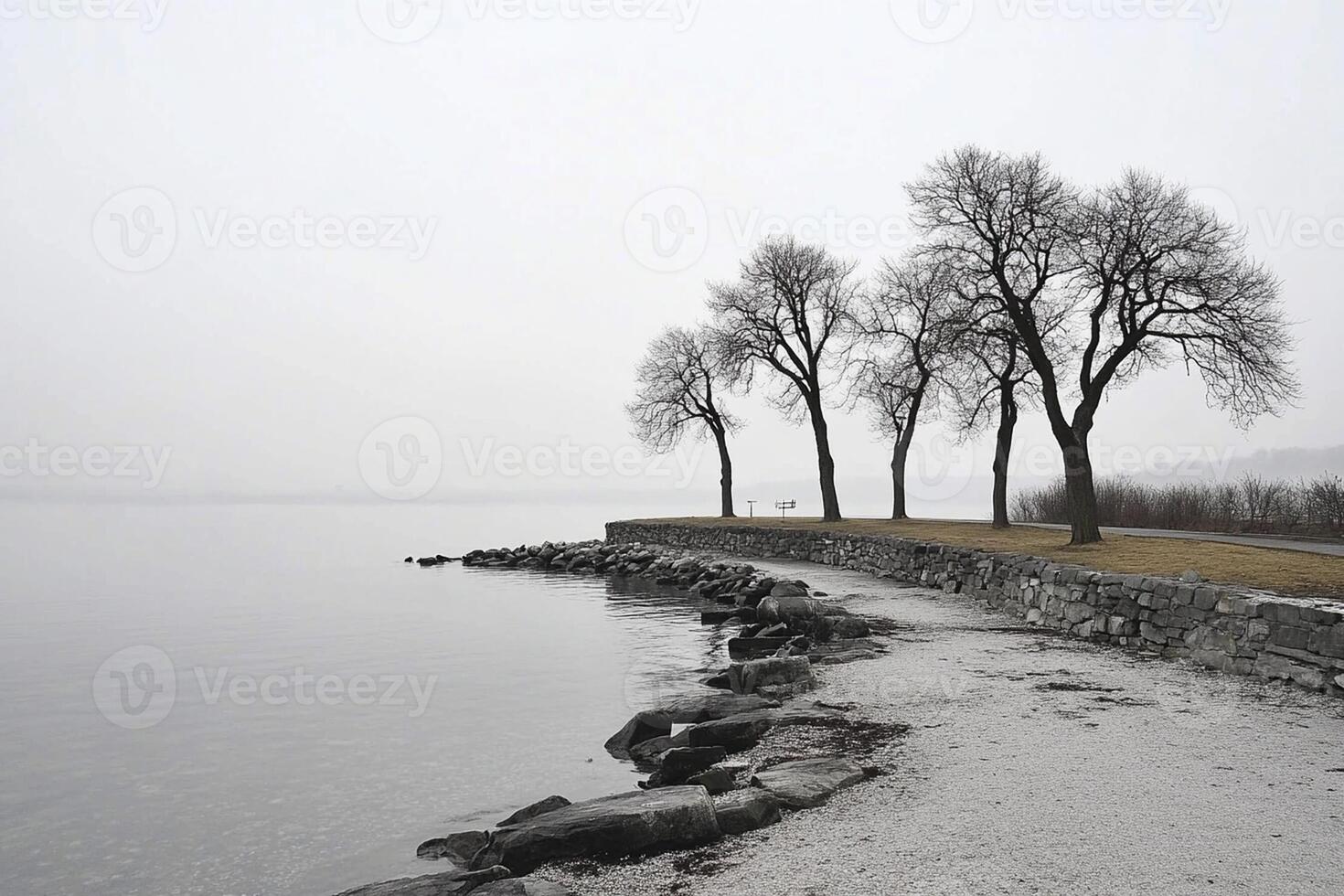 Trees line the shore of a lake in a foggy day photo