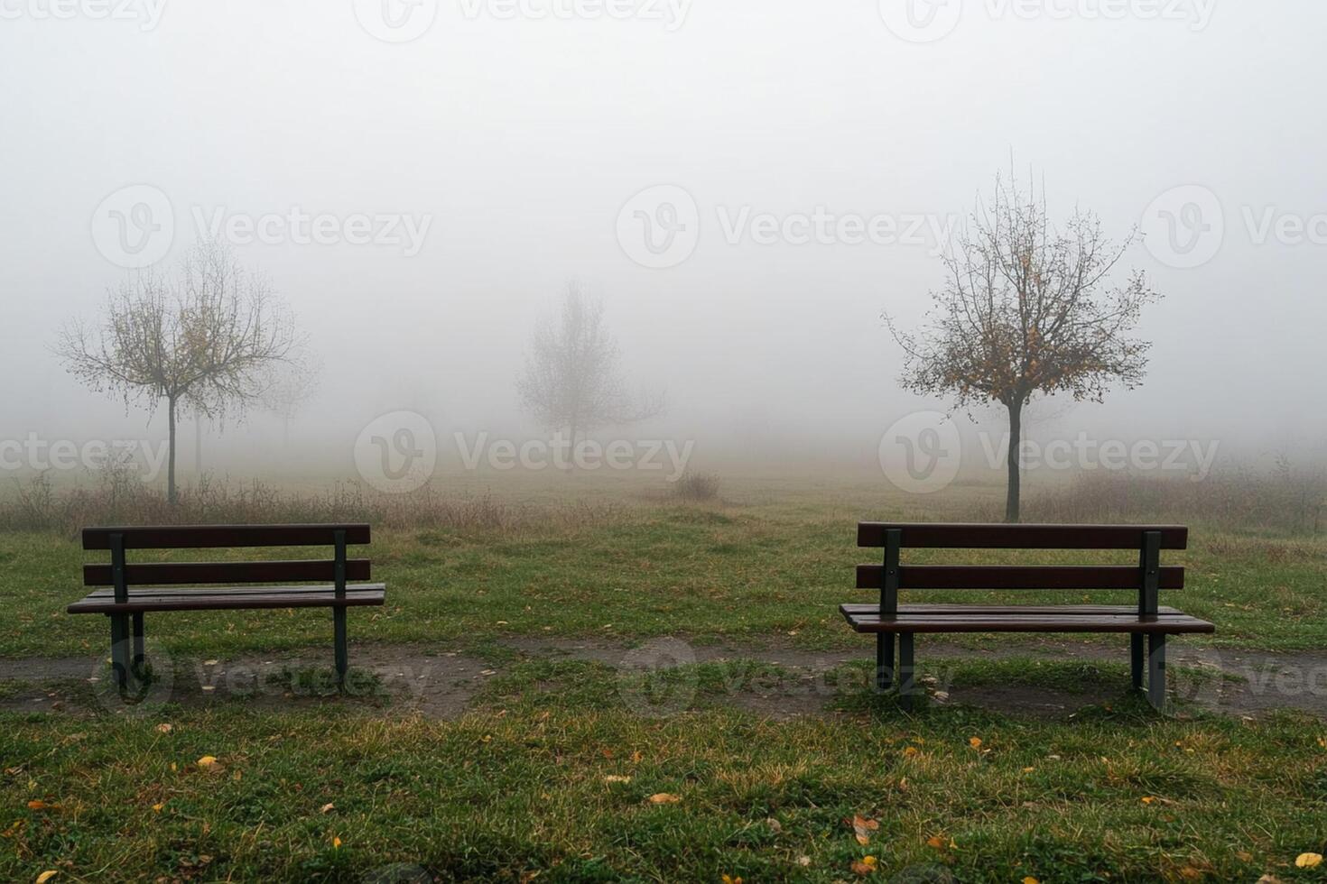 Two benches in a field photo