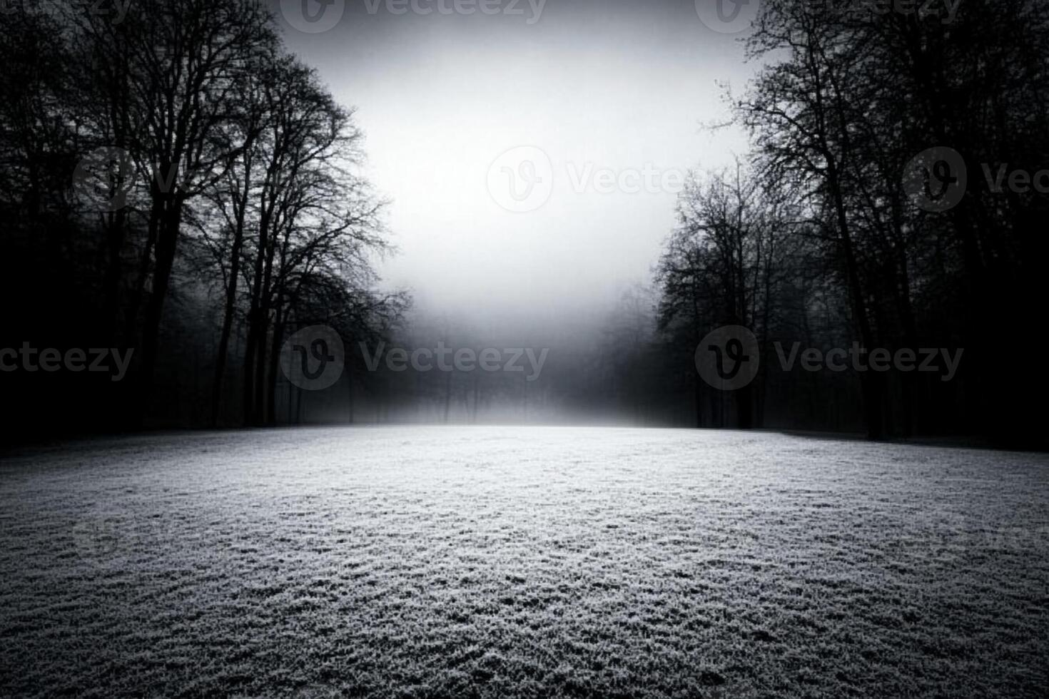 A black and white photo of a field in the fog