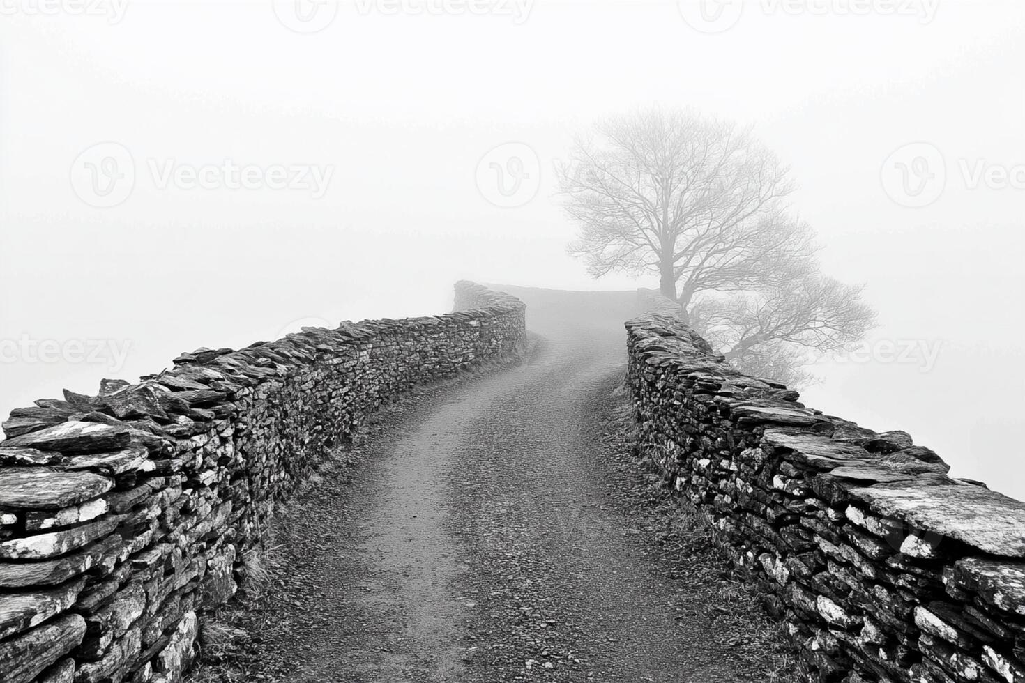 A black and white photo of a stone wall and a tree