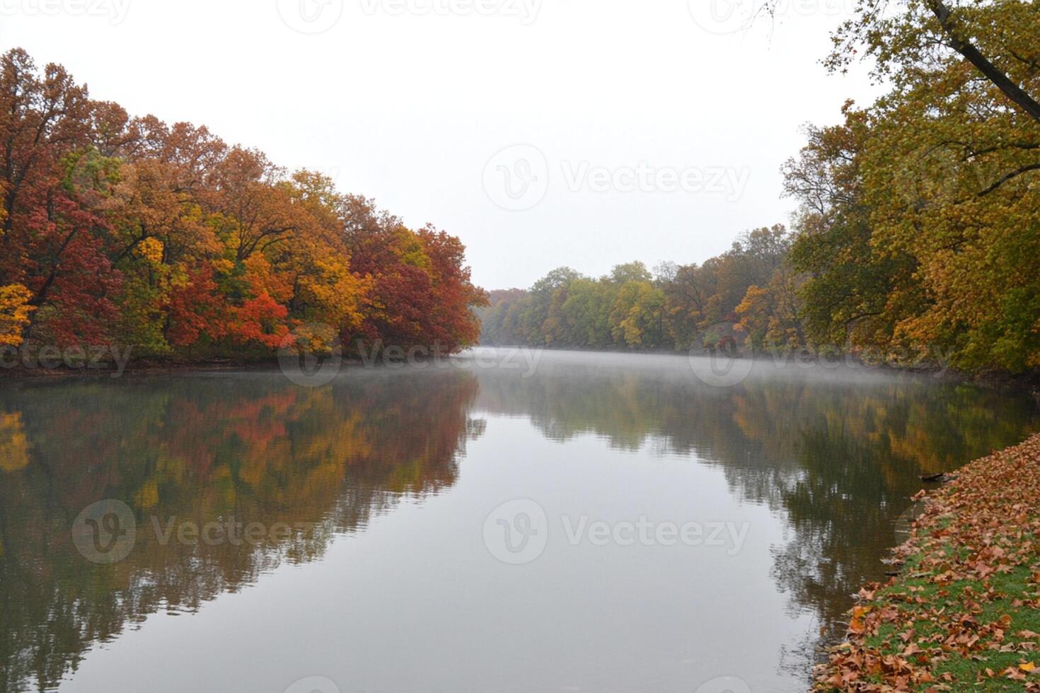 A river with trees in the background photo