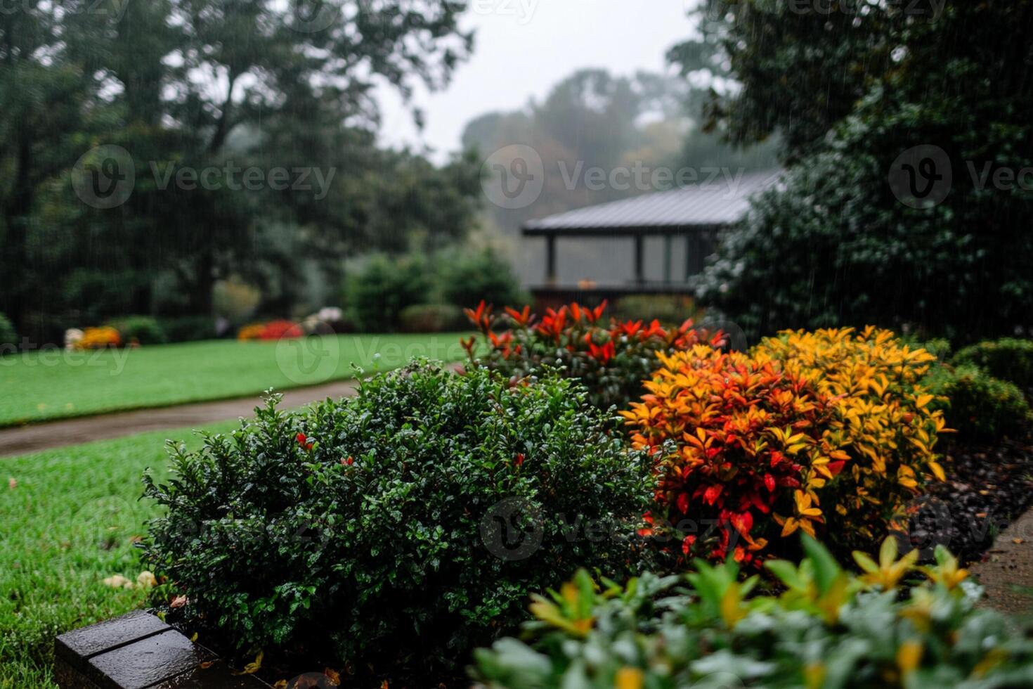 A garden with colorful flowers and shrubs in the rain photo