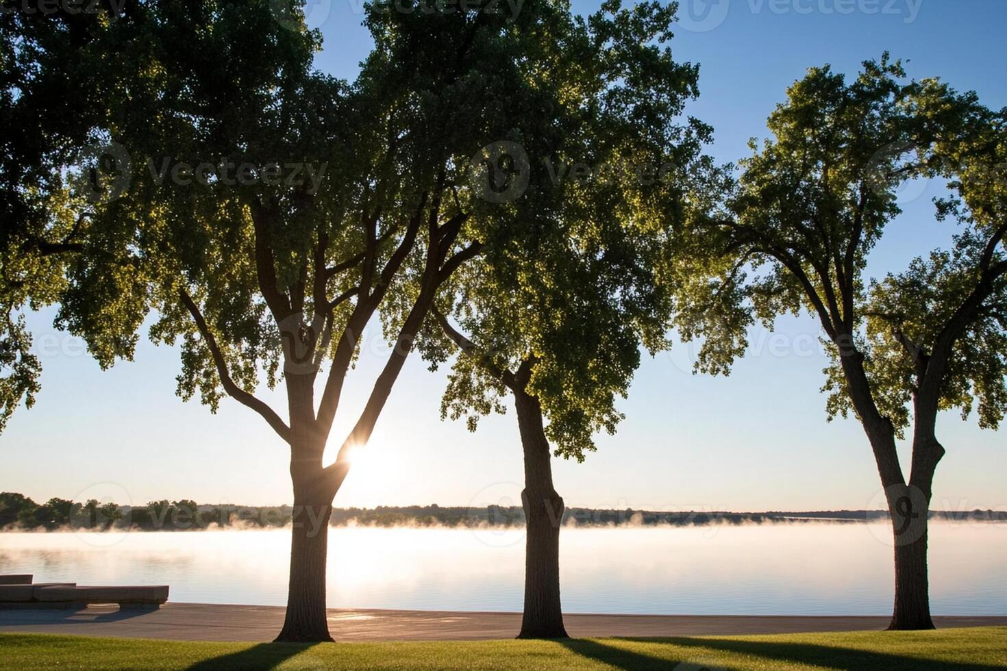 Trees on the shore of a lake with mist rising from the water photo