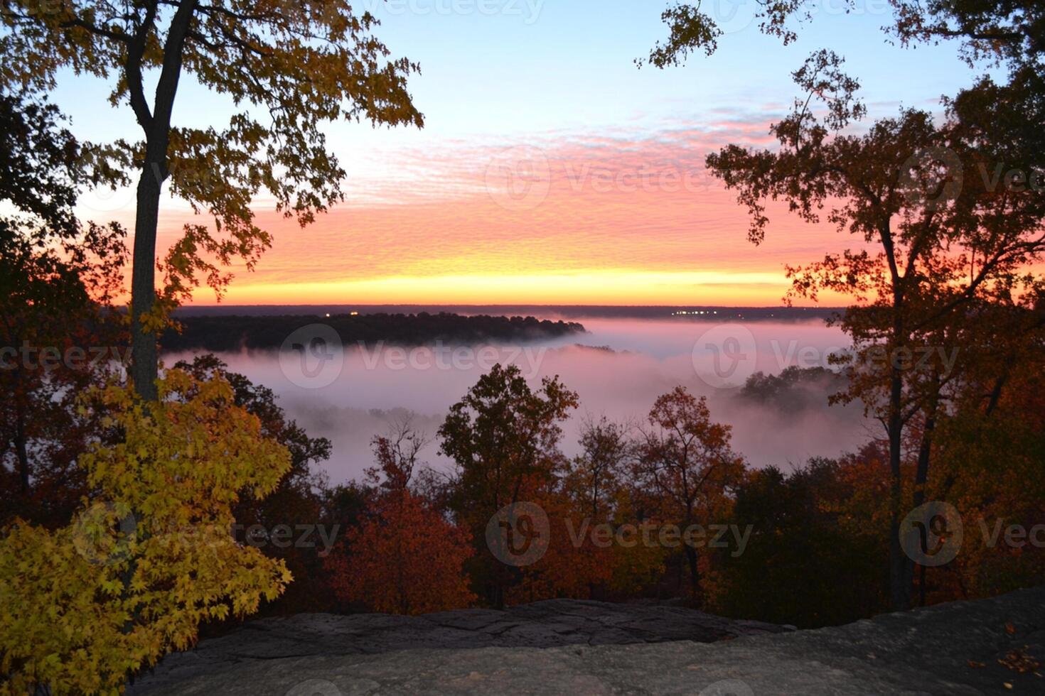 A view of the foggy forest at sunrise from a rock photo
