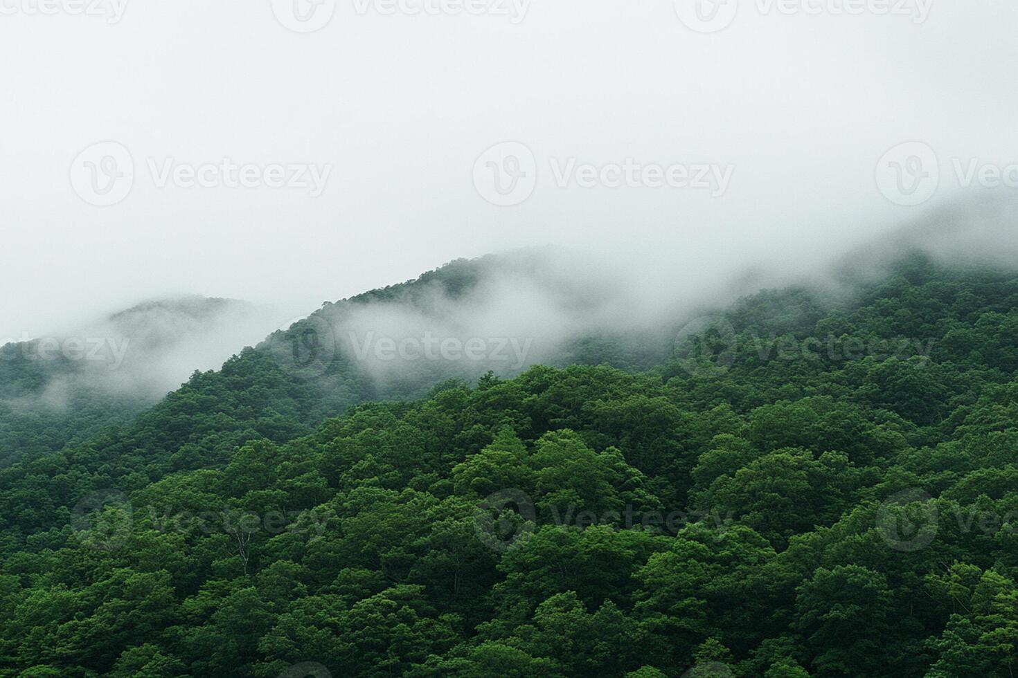 A mountain with trees and a train photo
