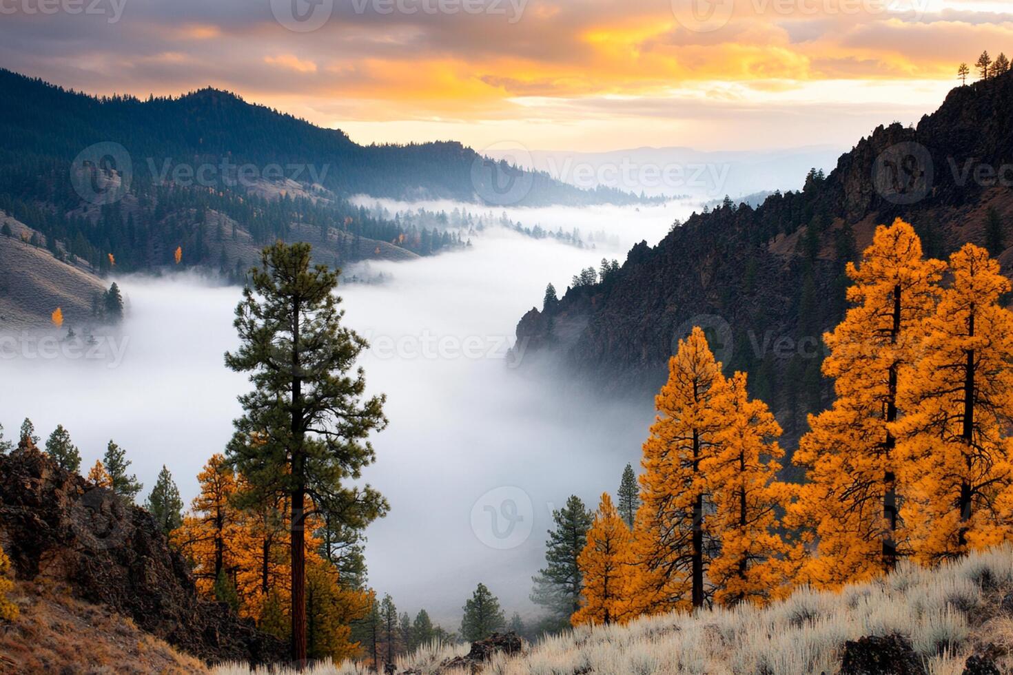 A beautiful mountain scene with trees and fog photo