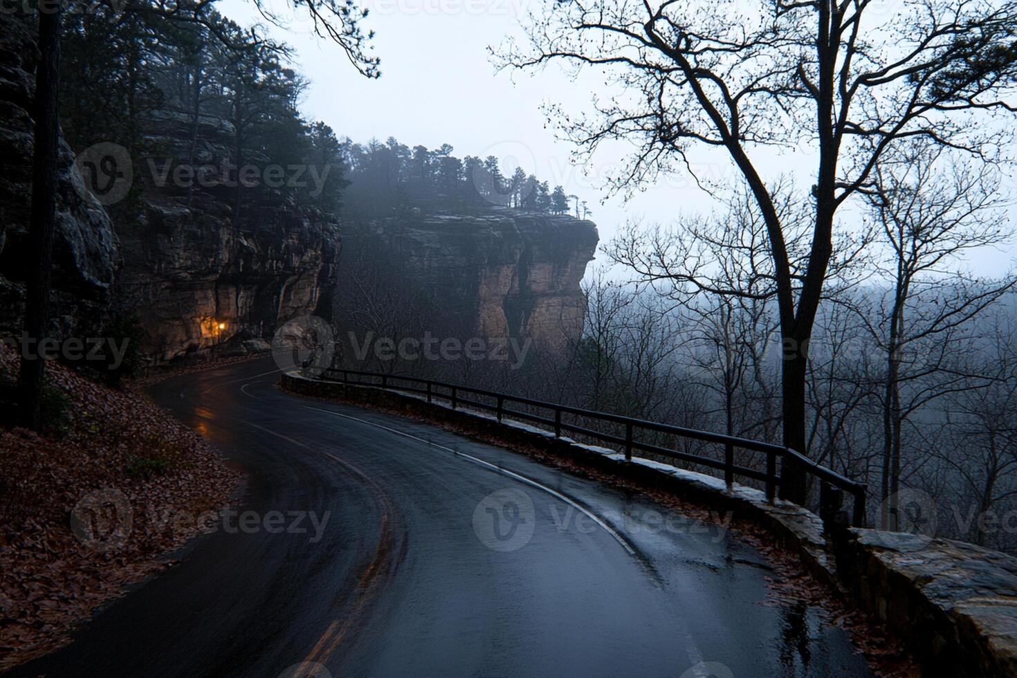 A road with a bridge and a light on it photo
