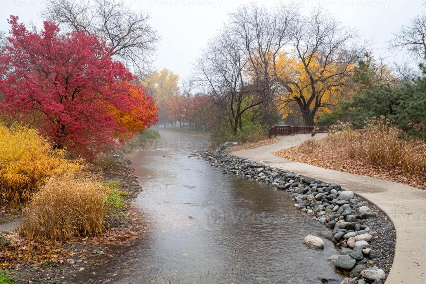 A river running through a park with trees and rocks photo