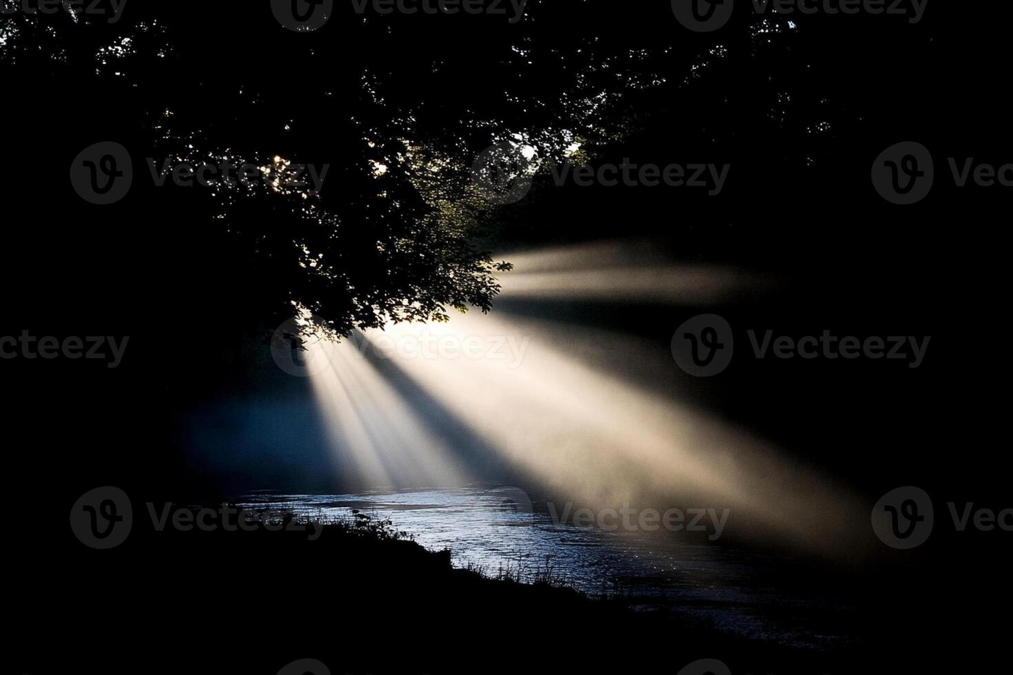 Sunbeams shining through trees over a river photo