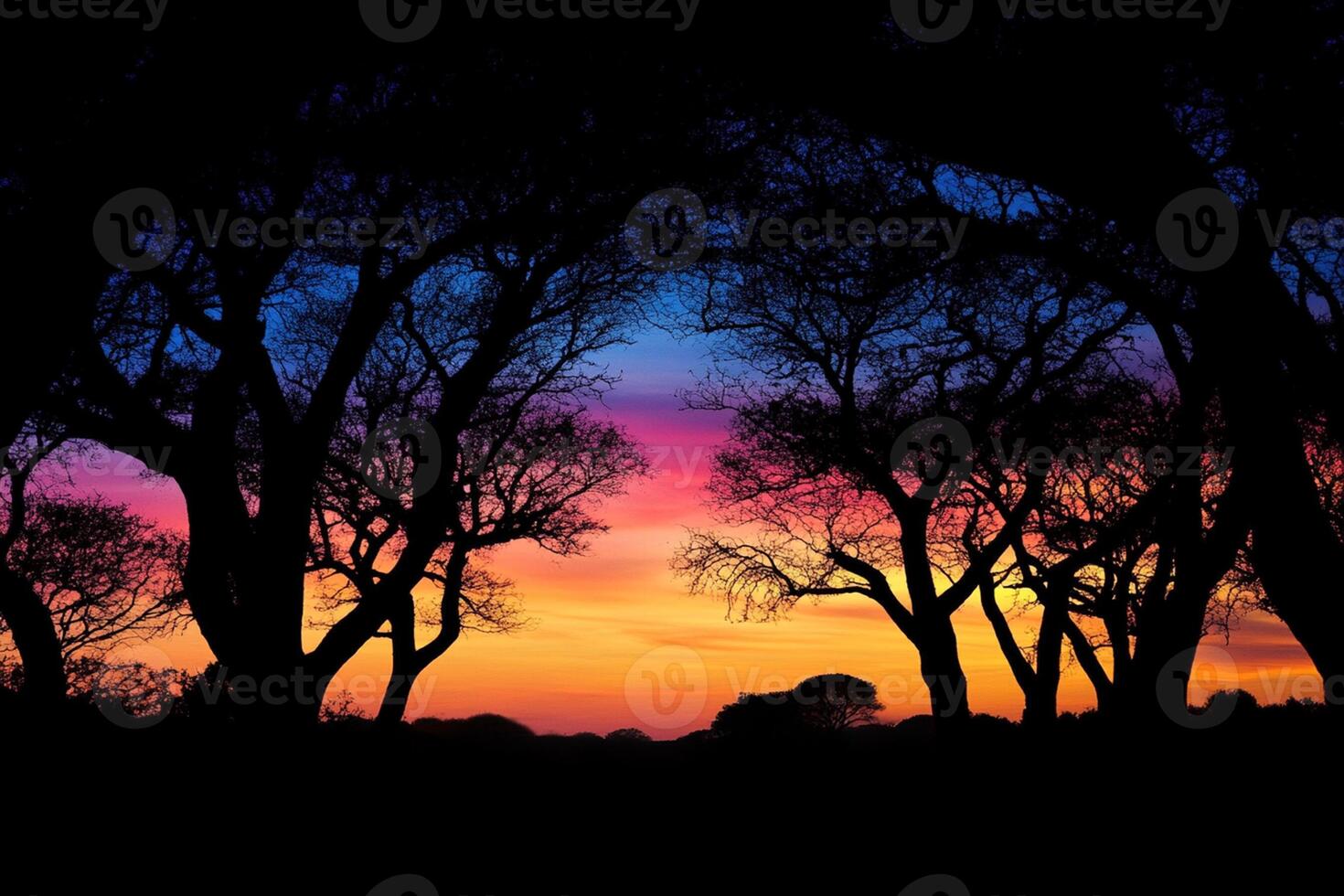 A sunset with trees in the background photo